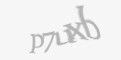 Защитный код
